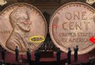 Wheat Penny Price Guide 1909–1958: Complete Collector’s Value Chart and Market Insights