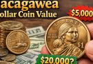 Sacagawea Dollar Coin Worth in 2026 – Mint Marks & Rarity Explained