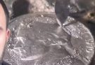  $1,000+ 1971 Jefferson Nickel Error Coin – How to Spot the Rare “No S” Proof Nickel